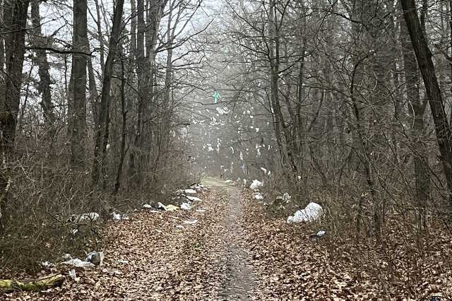 Nyugat.hu