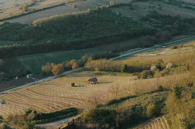 Borsod24.hu