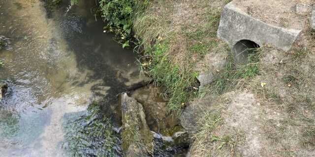 Veszpremkukac.hu