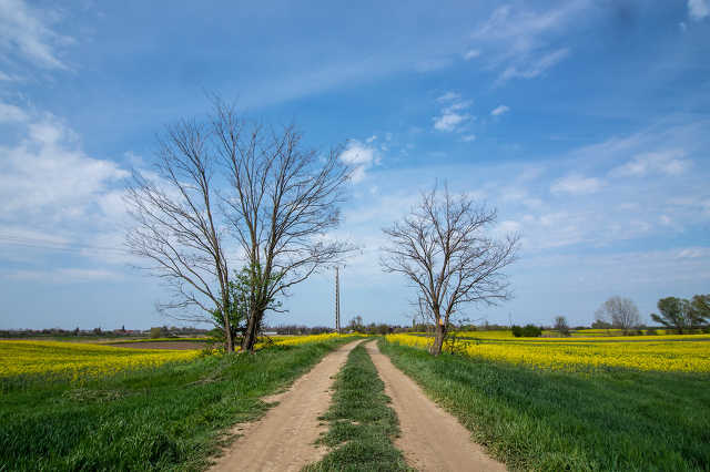 Szegeder.hu