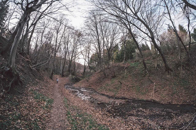 Nyugat.hu