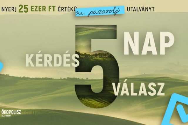 Borsod24.hu