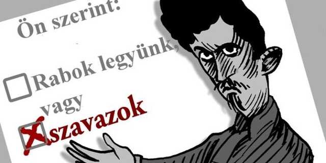 Veszpremkukac.hu