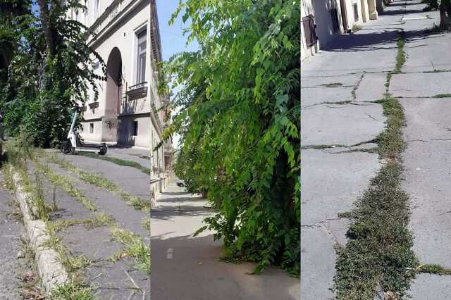 Nyugat.hu