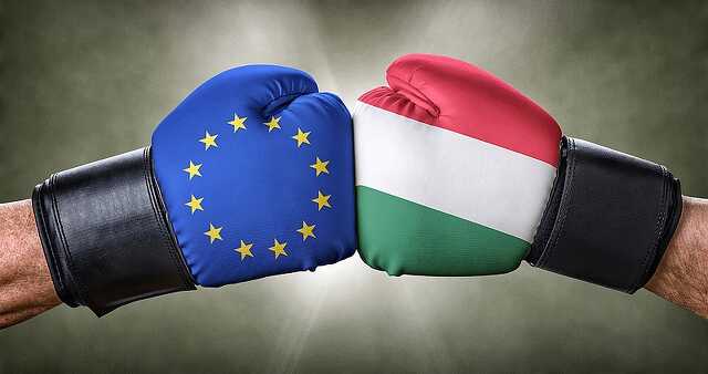 Veszpremkukac.hu