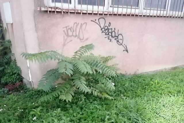 Nyugat.hu