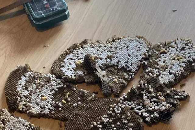 Szol24.hu