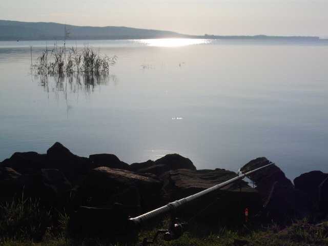 Nyugat.hu