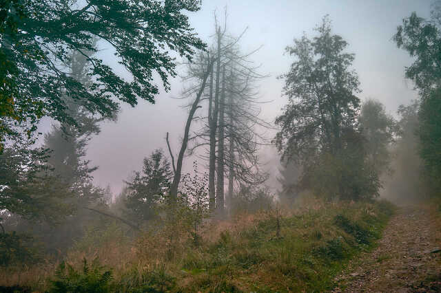 Nyugat.hu