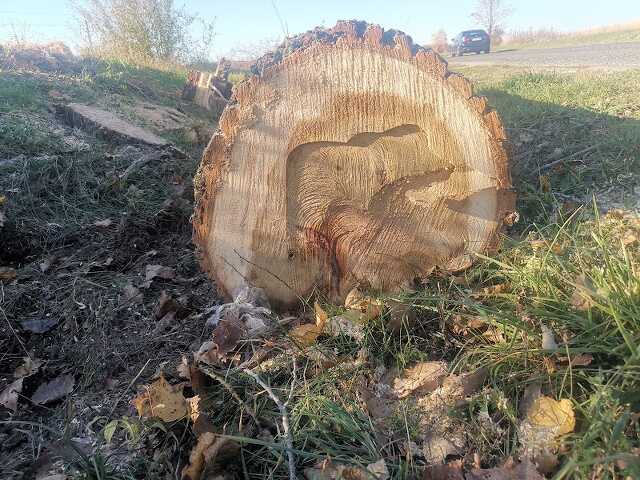 Veszpremkukac.hu