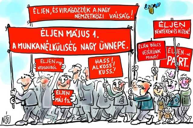 Veszpremkukac.hu