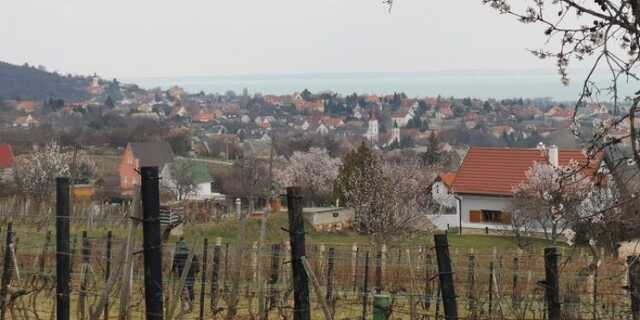 Veszpremkukac.hu