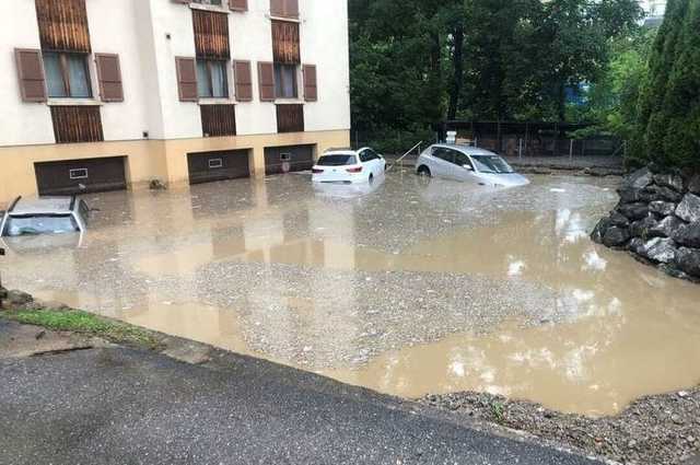 Veszpremkukac.hu