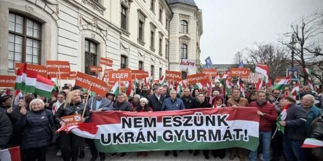 Veszpremkukac.hu