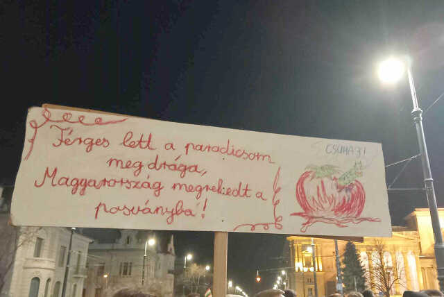 Debreciner.hu