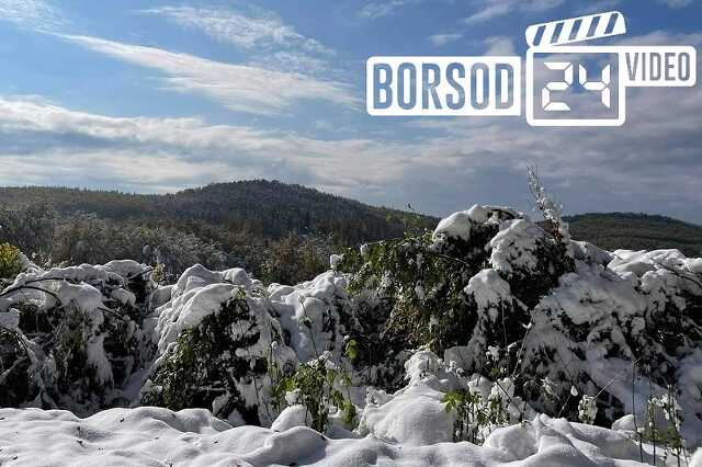 Borsod24.hu