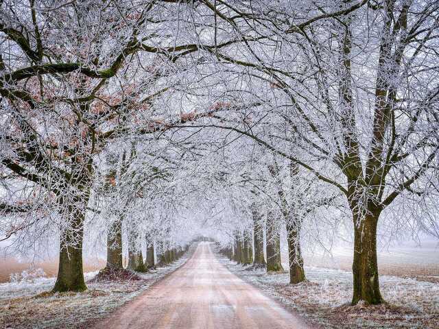 Enyugat.hu