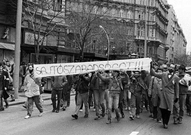 Veszpremkukac.hu