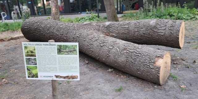 Veszpremkukac.hu