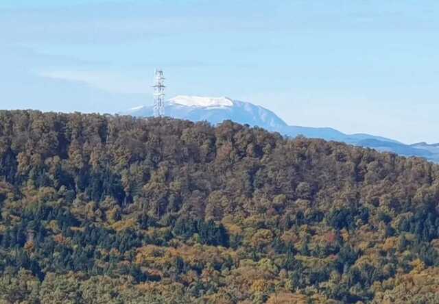 Nyugat.hu