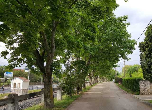 Veszpremkukac.hu