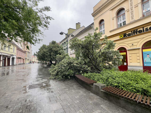 Nyugat.hu