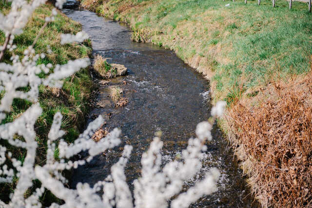 Nyugat.hu