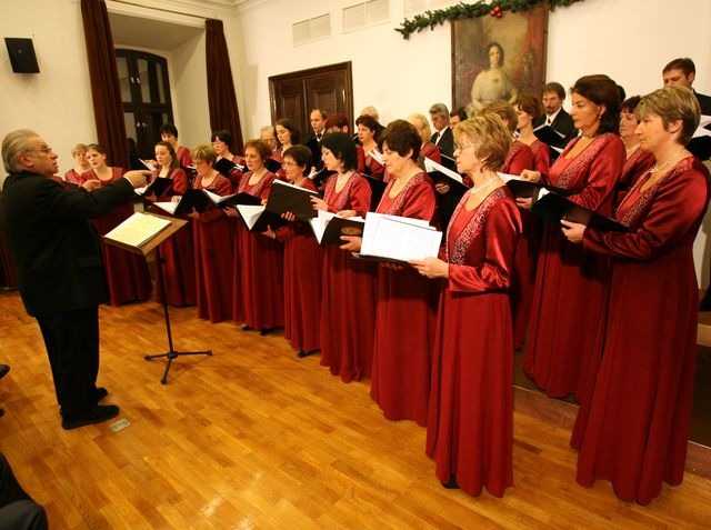 Veszpremkukac.hu