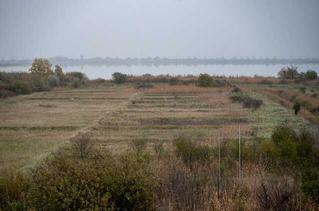 Szegeder.hu