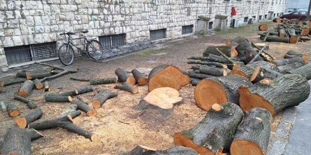Veszpremkukac.hu