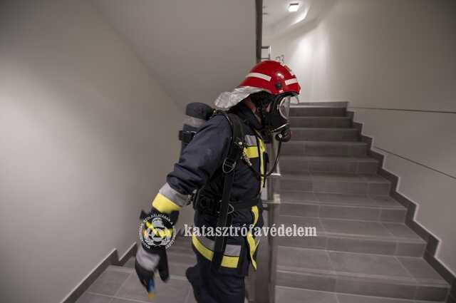 Szol24.hu