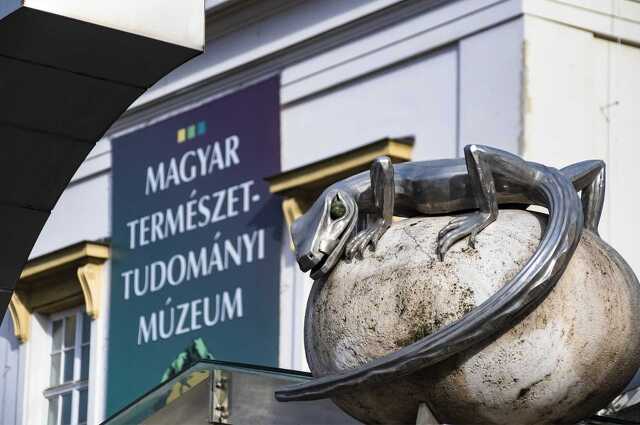 Debreciner.hu