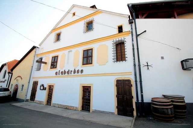Borsod24.hu