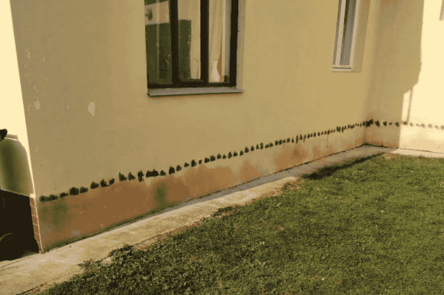 Szegeder.hu