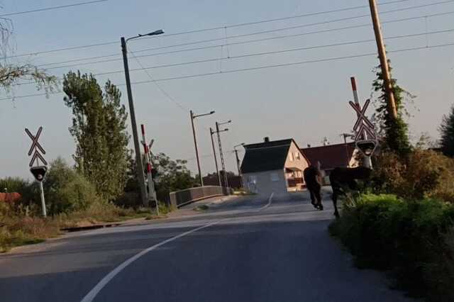 Borsod24.hu