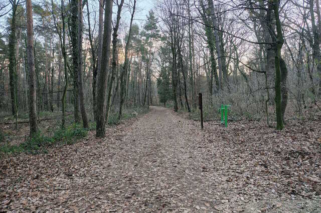 Enyugat.hu
