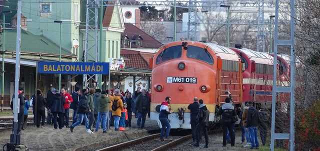 Veszpremkukac.hu