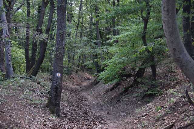Nyugat.hu