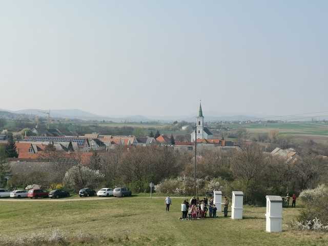 Veszpremkukac.hu