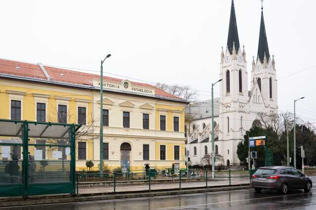 Szegeder.hu
