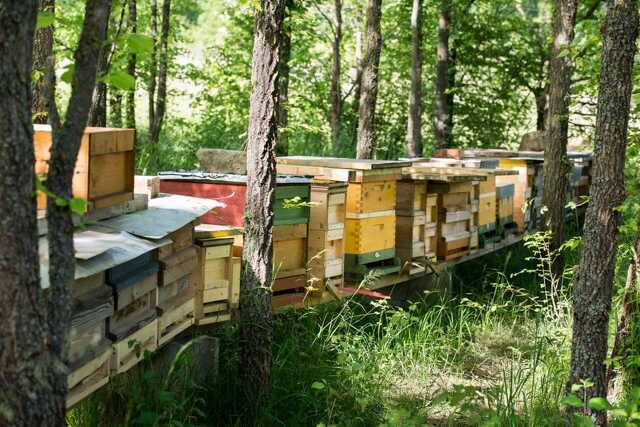 Nyugat.hu