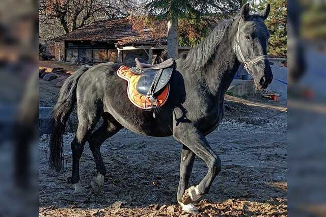 Borsod24.hu