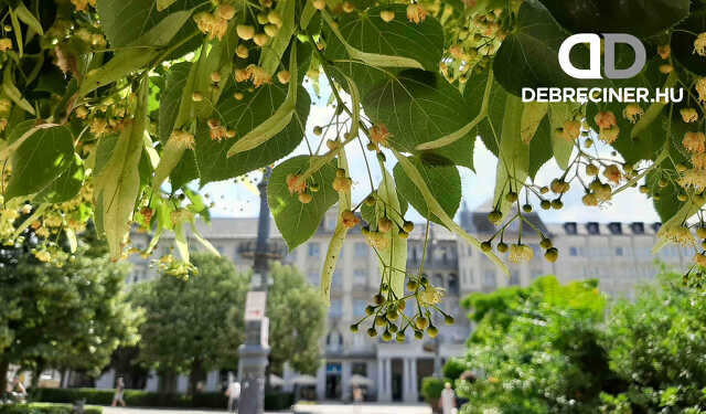 Debreciner.hu