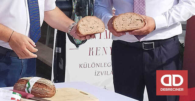 Debreciner.hu