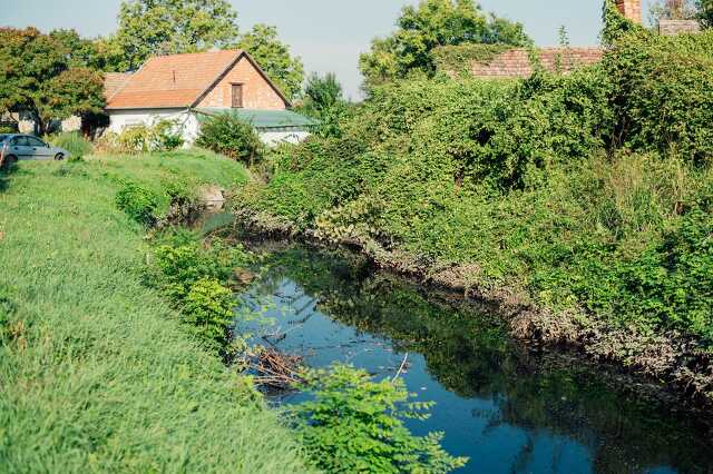 Szegeder.hu