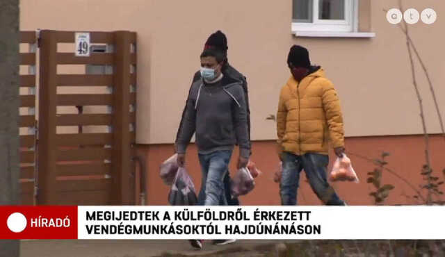 Debreciner.hu
