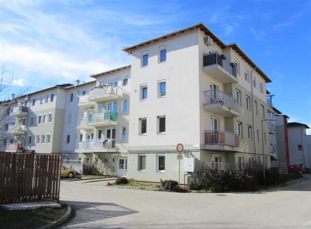 Veszpremkukac.hu