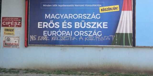 Veszpremkukac.hu