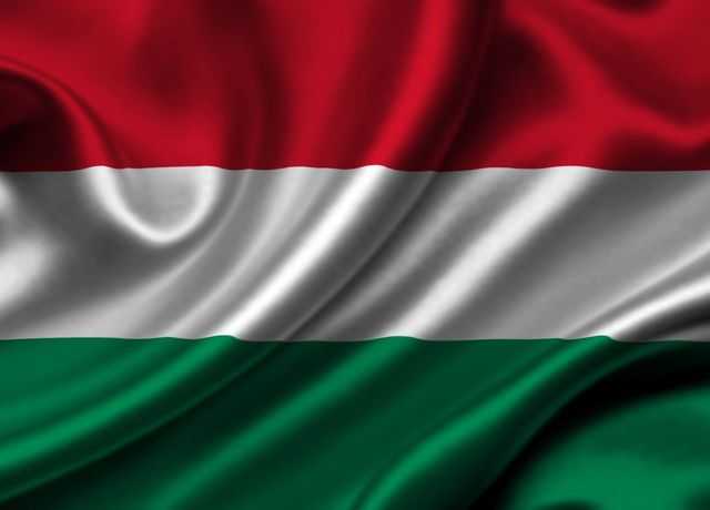 Veszpremkukac.hu