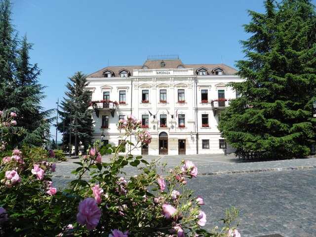 Veszpremkukac.hu